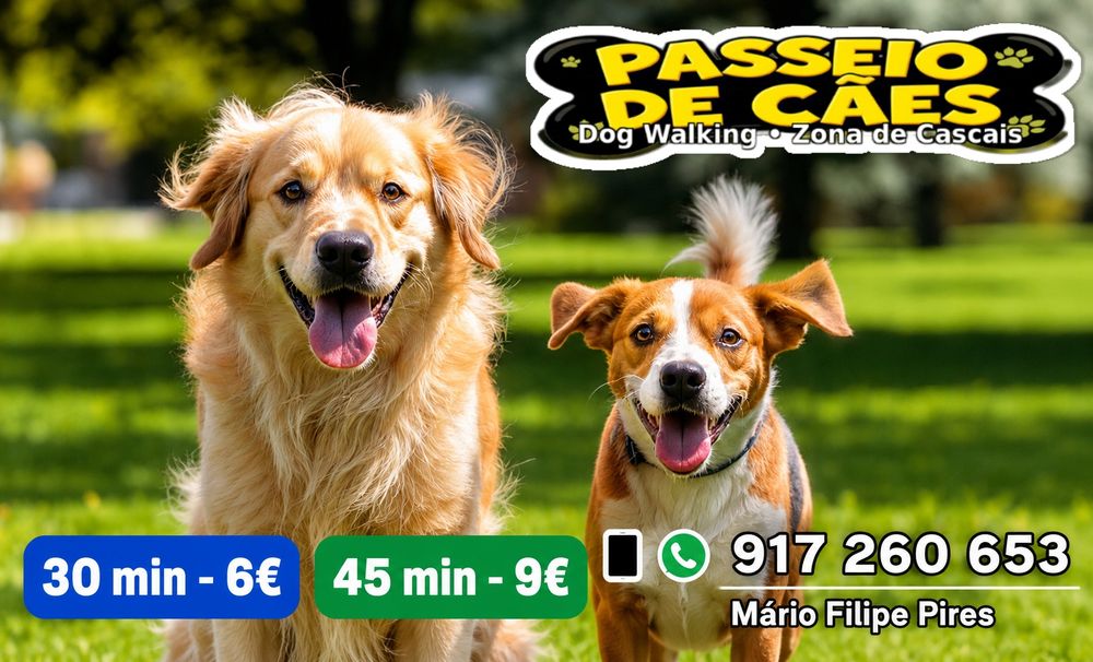 Passeio de Cães / Dog Walking