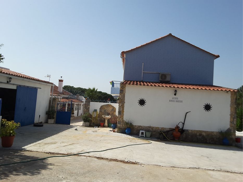 Permuta/venda Quinta com 3 moradias, pincina, pinhal e muito espaço