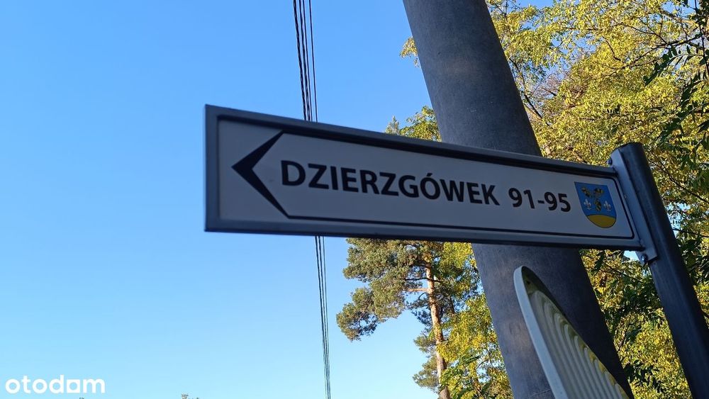 Działka budowlana 2229 m² przy lesie, 8 min od A2 – Dzierzgówek - Widok 5