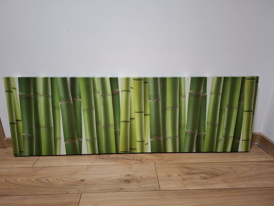 Obraz Bambusy 45x140 cm