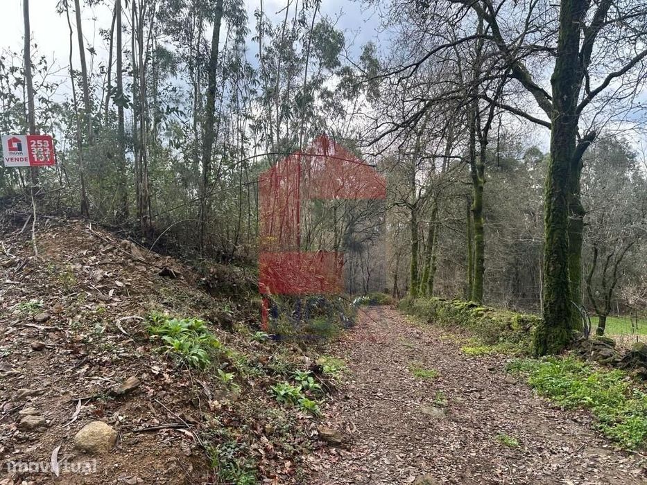 Terreno florestal de proteção — Ribeira Do Neiva, Braga