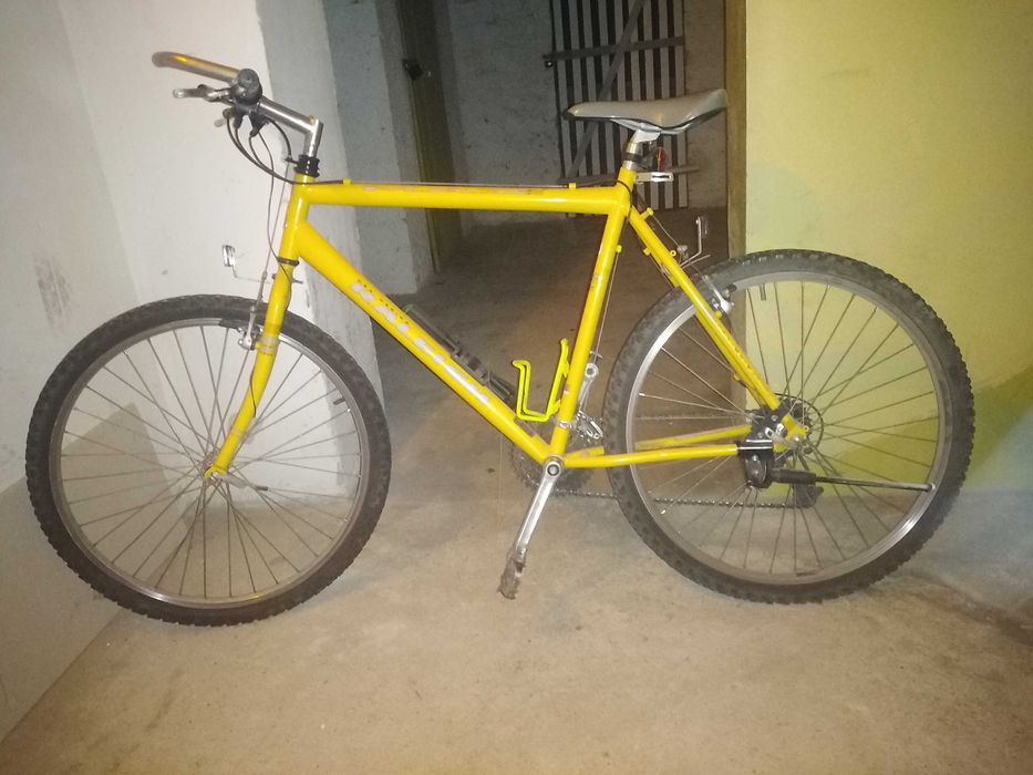 Rower raleigh max