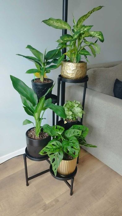 Kwietnik stojak na kwiaty rośliny METALOWY 5 półek stojący CZARNY NOWY