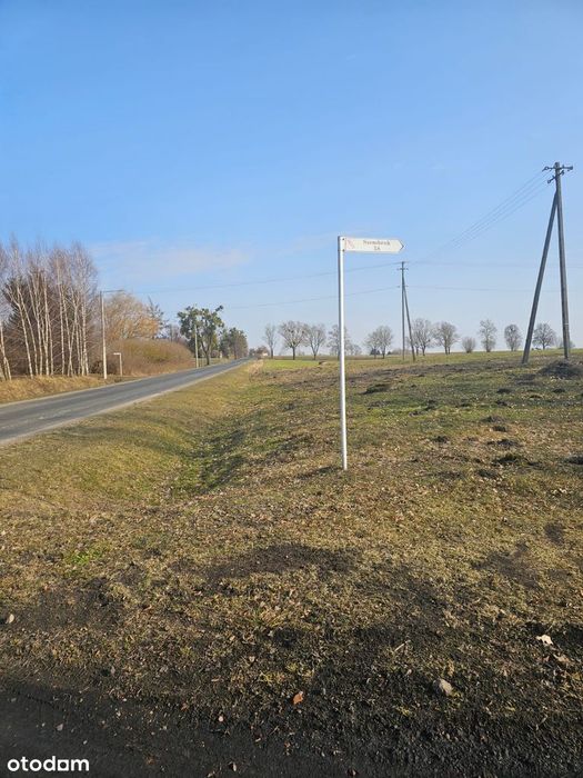 Ziemia Szembruk koło Łasina 3,34 ha