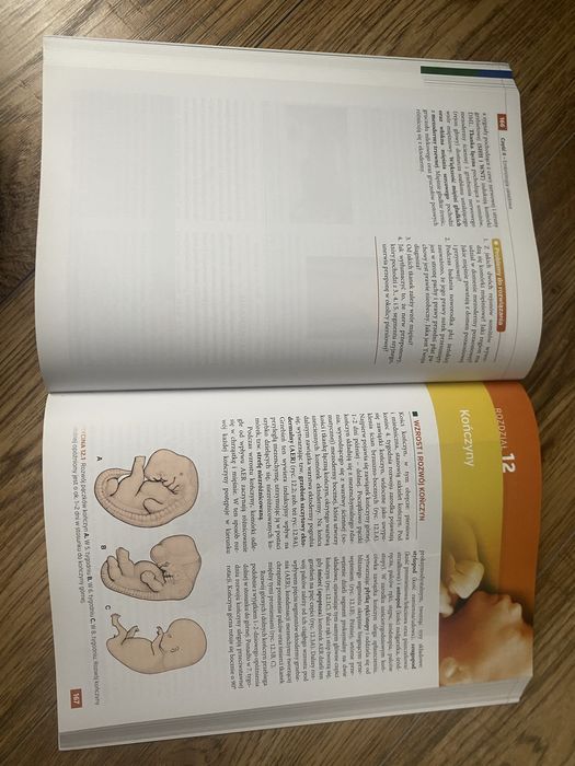 Embriologia Langman, wydanie XIII, książka w stanie doskonałym