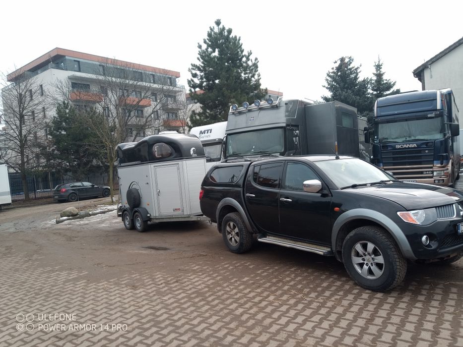 Transport koni okolice Wrocławia
