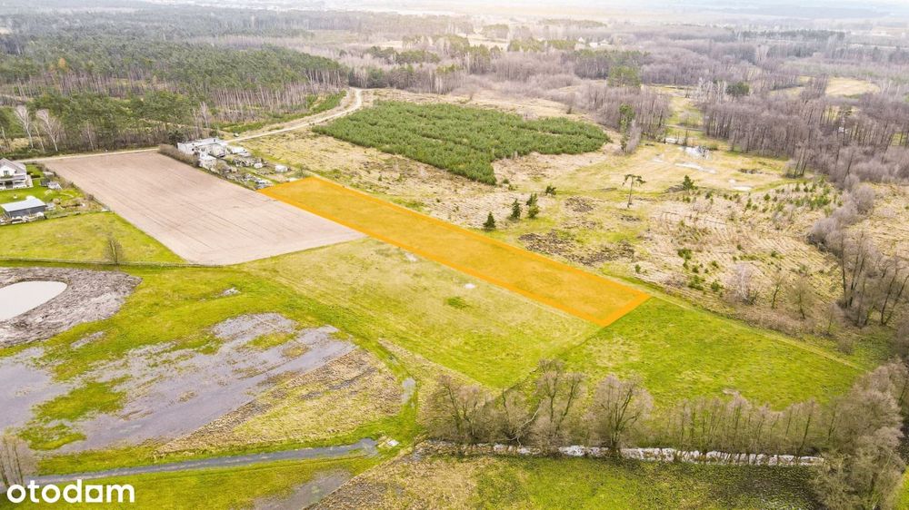 Działka z Wz na 4 Domy | Zielona Enklawa | Lasy