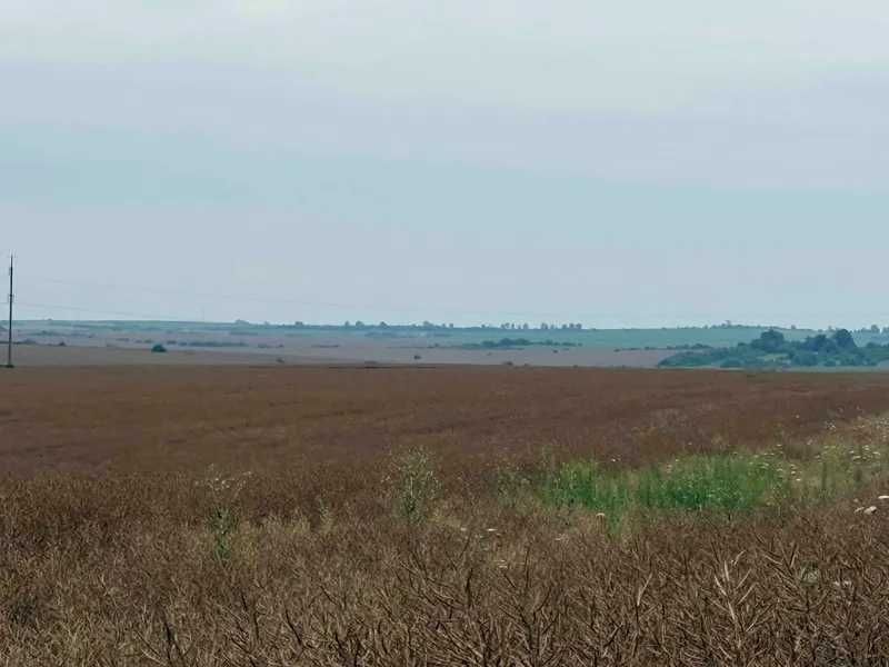 земельна ділянка  2.1753 га, КН 4624286600:14:000:0146, Львівська обл, Самбірський рн, Рудківська міськрада (с.Погірці)