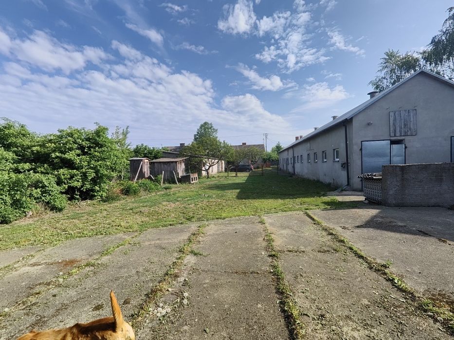 Siedlisko z dużą działką – dom 80 m² + budynki gospodarcze | 31 arów