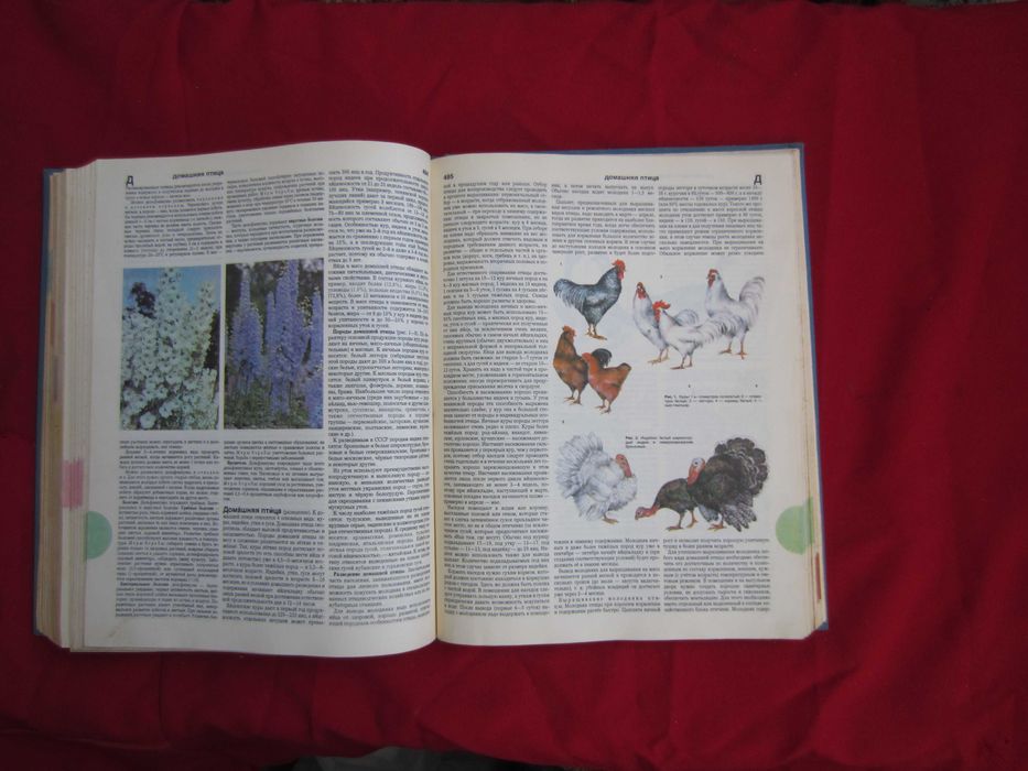 Очень нужная и полезная книга Краткая энциклопедия домашнего хозяйства