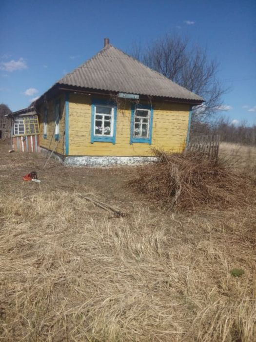 Хата в селі ( будинок )