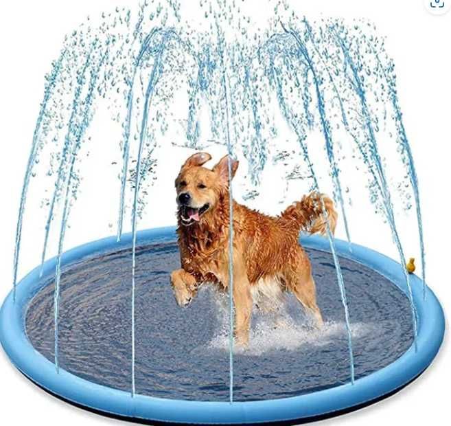Piscina irrigadora para cães e crianças
