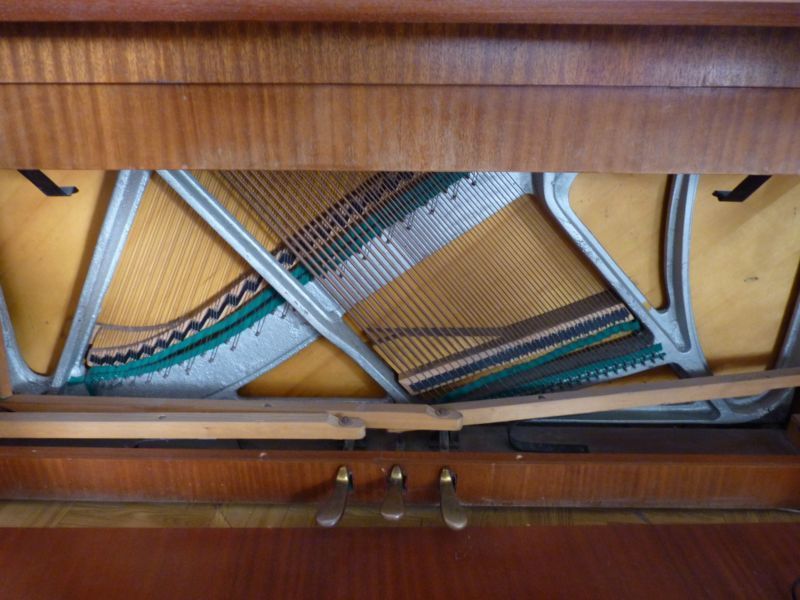 Pianino Calisia metalowa płyta. Super!