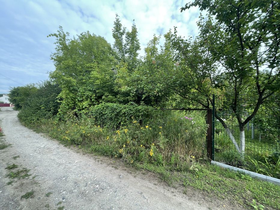 Покос трави,вивіз ,уборка території