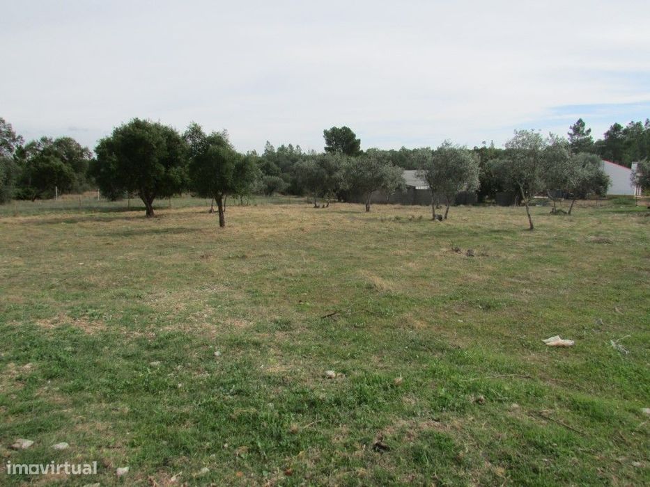 Land Plot
