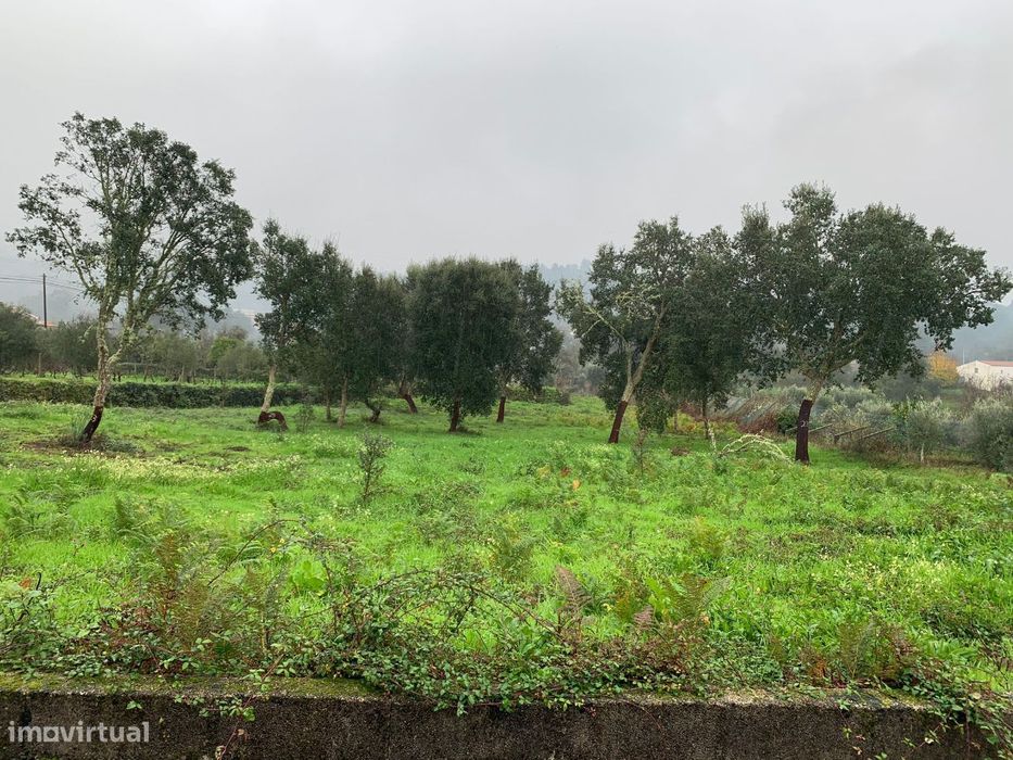 Terreno — Pedrógão Pequeno, Castelo Branco