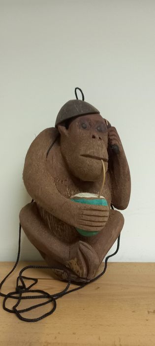 Garrafa feita de casca de coco