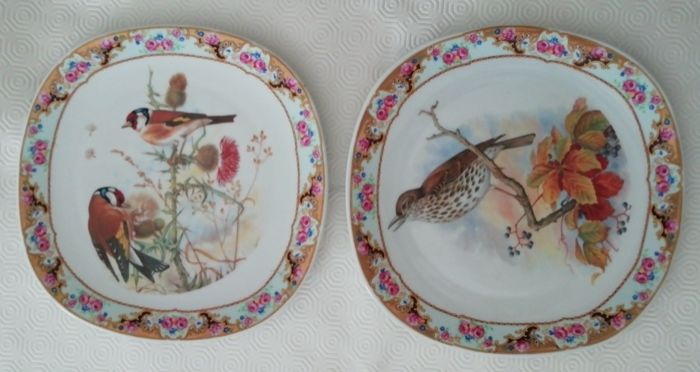 Decorative Ceramic Plates443149854997882881