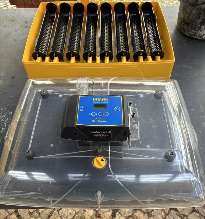 Chocadeira Ovation 56 ECO