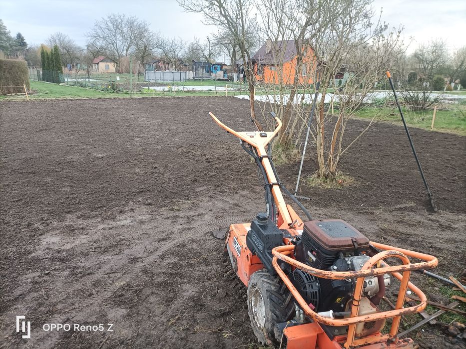 Wycinka drzew I krzewow  Oczysz dzialek zrebkowanie minkopark ogrodnik