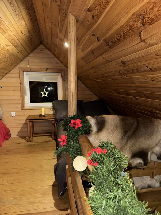 Domek w Bieszczadach Wynajem – Oaza Spokoju i Natury!-JACUZZI