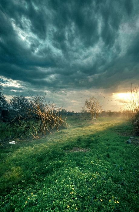 Продам дом Левый берег. Продам дом Березановка