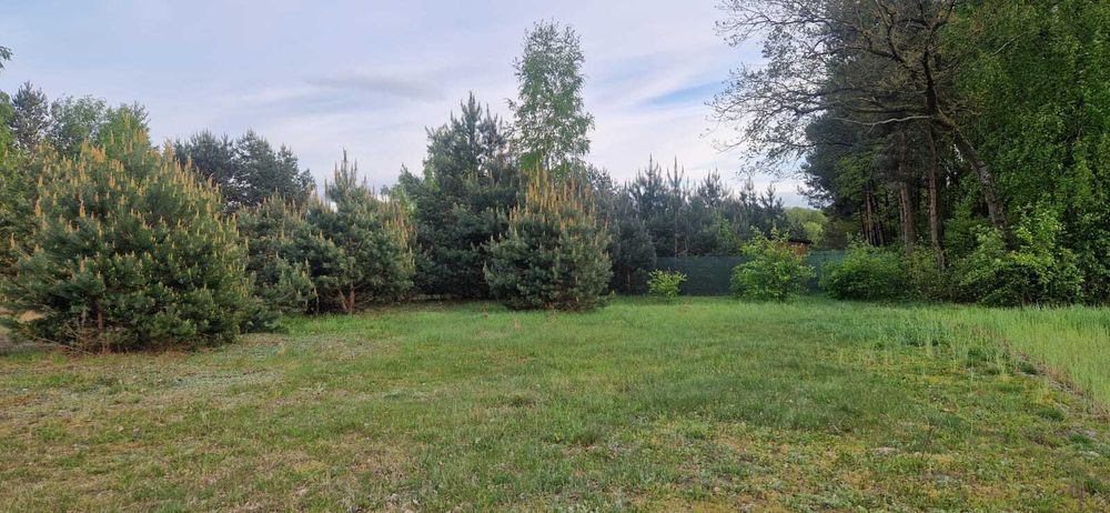 Działka budowlana Drzewociny 33 - zielona, cicha i spokojna okolica