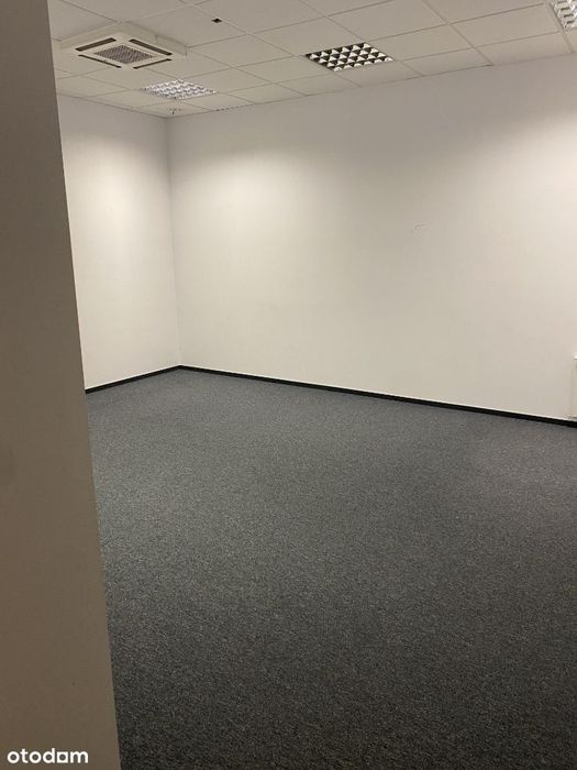 Lokale do wynajęcia od 80m2 -250m2 CENTRUM MIASTA
