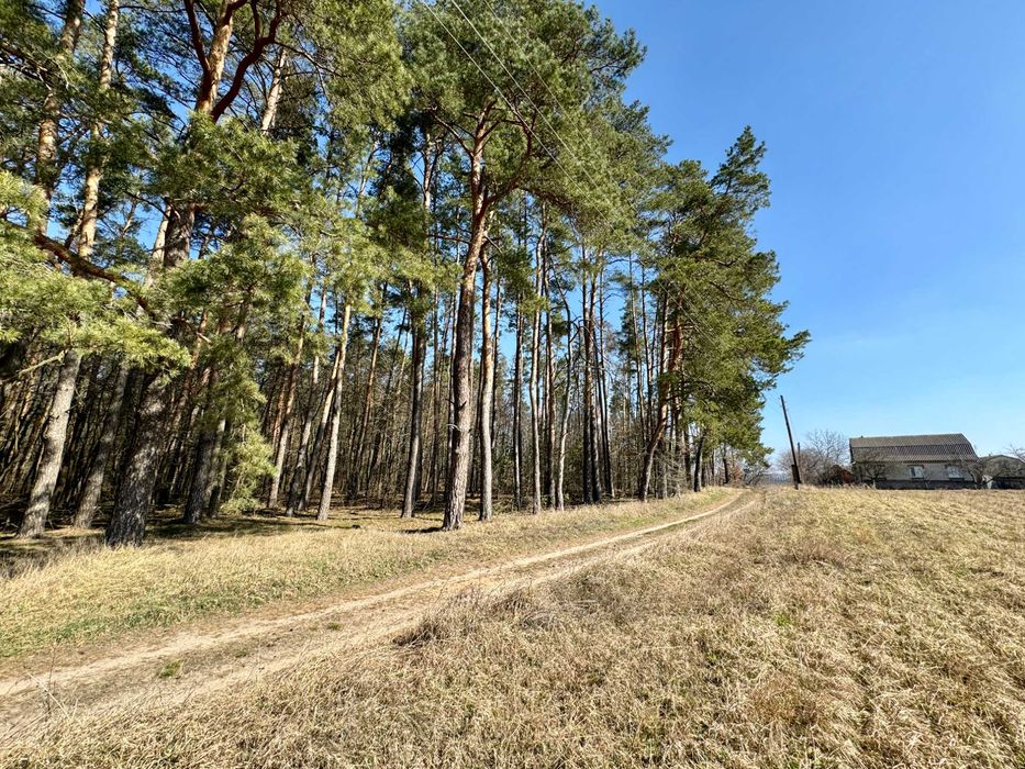 Продам земельну ділянку в селі Сосонка. Біля лісу. Під будівництво.