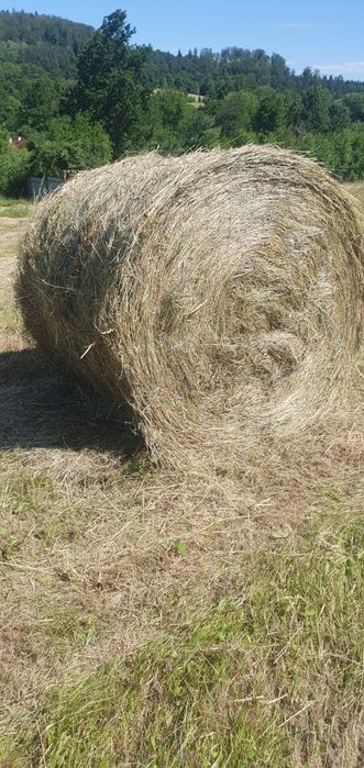 Siano bele 120 suche.