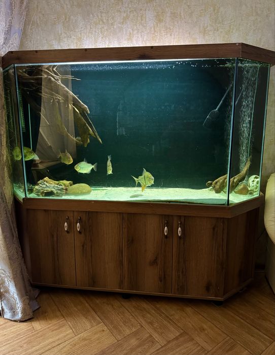 Акваріум 800 л.