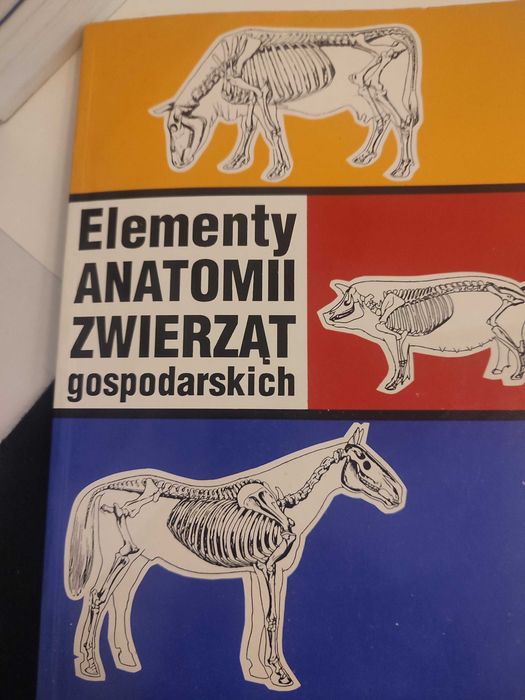 Elementy anatomii zwierząt gospodarskich Roskosz