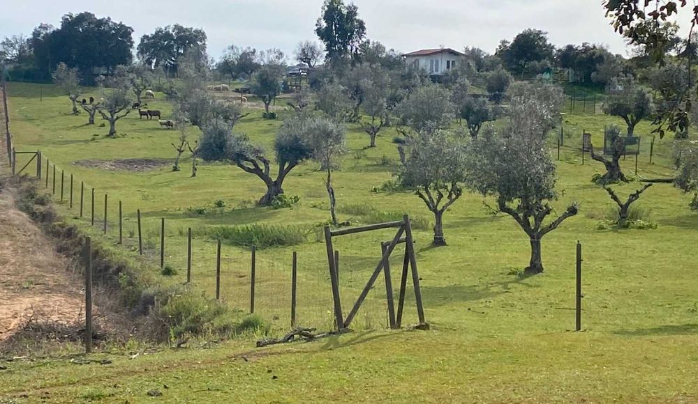 Aluguer terreno Cuba