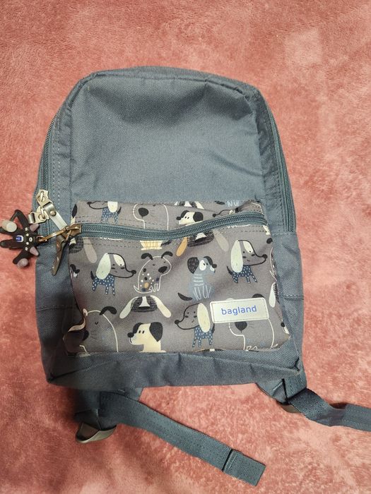 Детский рюкзак bagland.