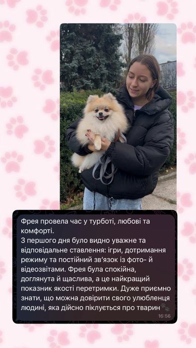 Перетримка для тварин Київ