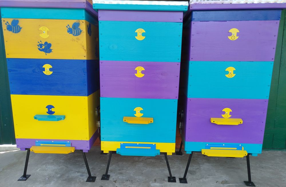 Продам вулики "Дадан" 10-ти рамкові