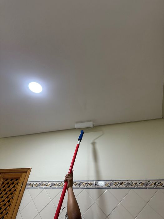 Pintor Profissional / Serviços de Pintura e Remodelação