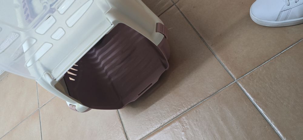 Transportadora gato
