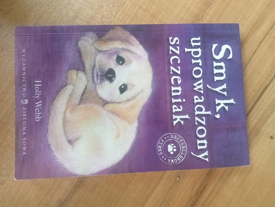 Smyk uprowadzony szczeniak Holly Webb