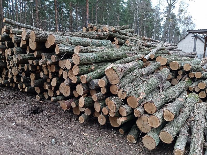 Drewno opałowe kominkowe olcha brzoza dąb buk sosna