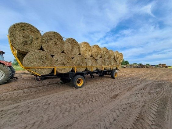 Siano w belach dla koni / baloty siana / hay in bales / hay for animal