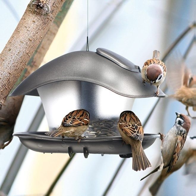 Годівничка для птахів