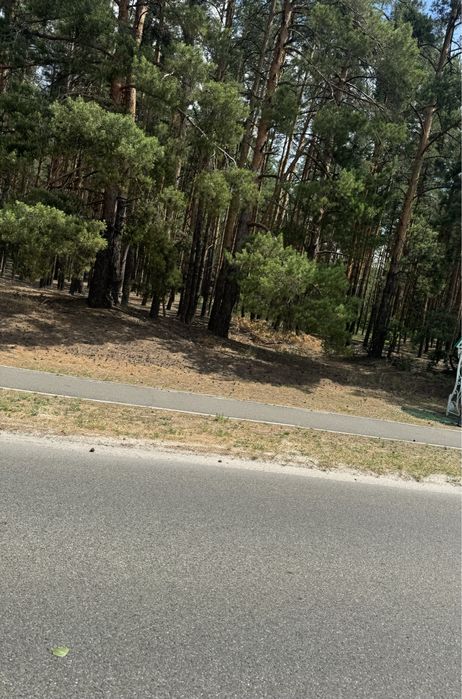 Продам НАЙКРАЩІ ділянки в МАЛЬОВНИЧОМУ місці, 27соток ,с.Проців, ЛІС