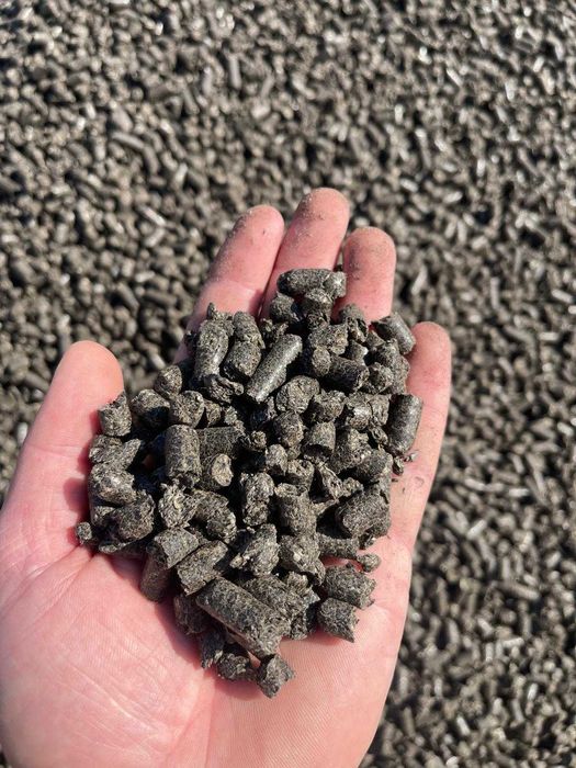 Pellet z łuski słonecznika