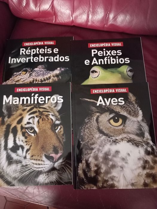 Colecção de 4 volumes  da Enciclopédia Visual - Sol 90