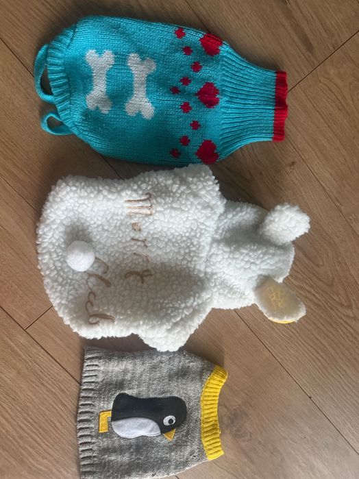 Komplet ubranek dla małego pieska