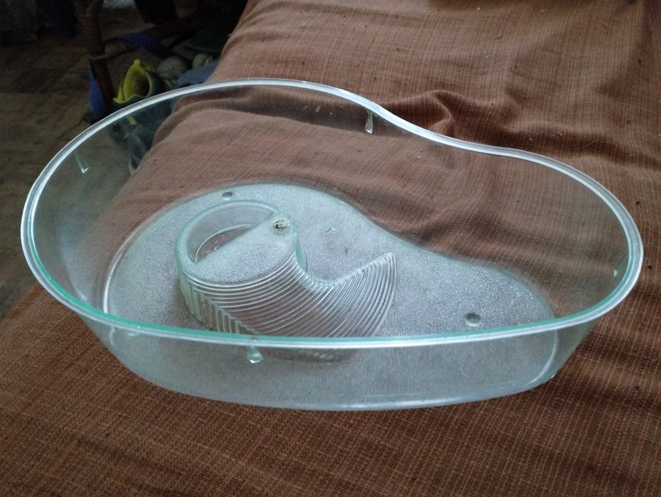 Aquário para tartaruga pequena.