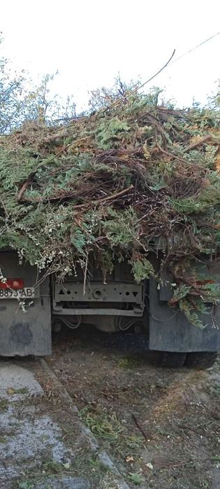 Вывоз веток, Вывоз Старой Мебели, Вывоз окон |  Вивіз гілок Газель,