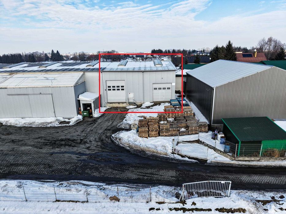 Magazyn Wierzbna 300 m2 wynajem
