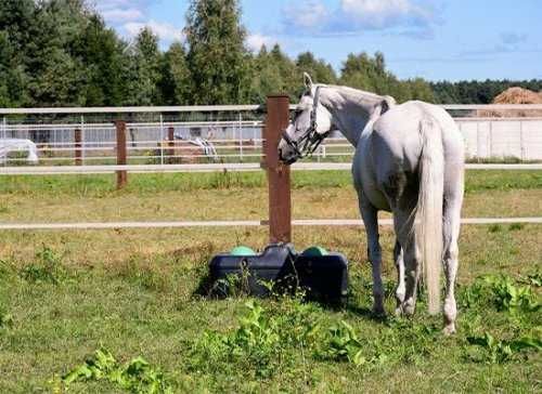 Poidło niezamarzające Kerbl – mrozoodporne aż do - 30°C ! 40 / 100 L